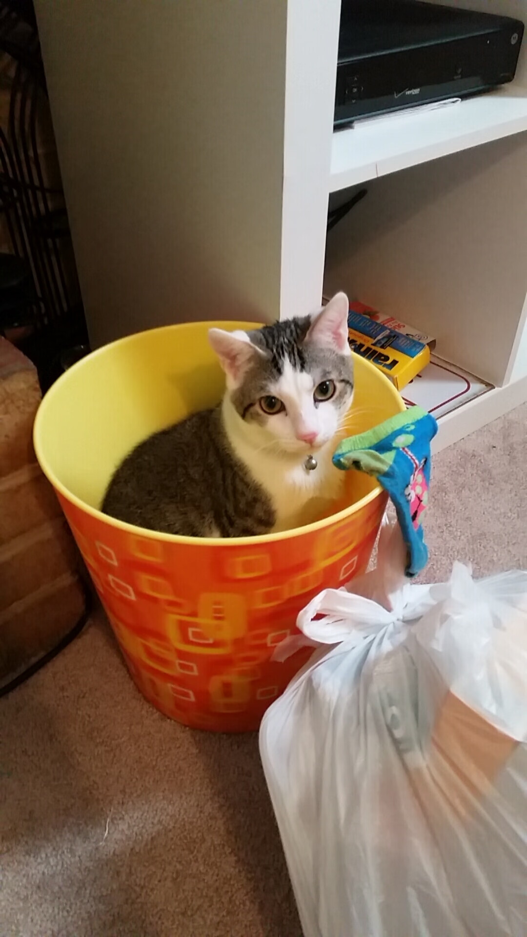 尼克斯末节狂飙，东决关键战一波流带走雄鹿