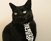 开云体育平台APP-风暴的两种形式，鹈鹕的飓风与约基奇的地震