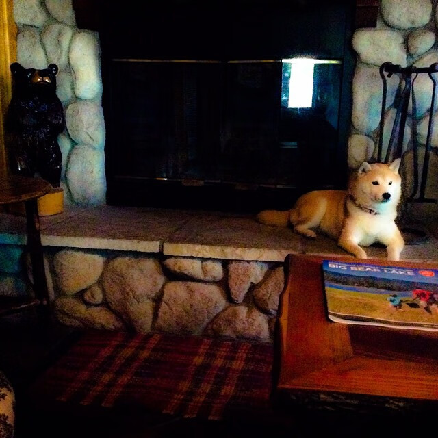 双重宇宙的轰鸣，本泽马数据全面爆炸与委内瑞拉封锁曼城的战术启示