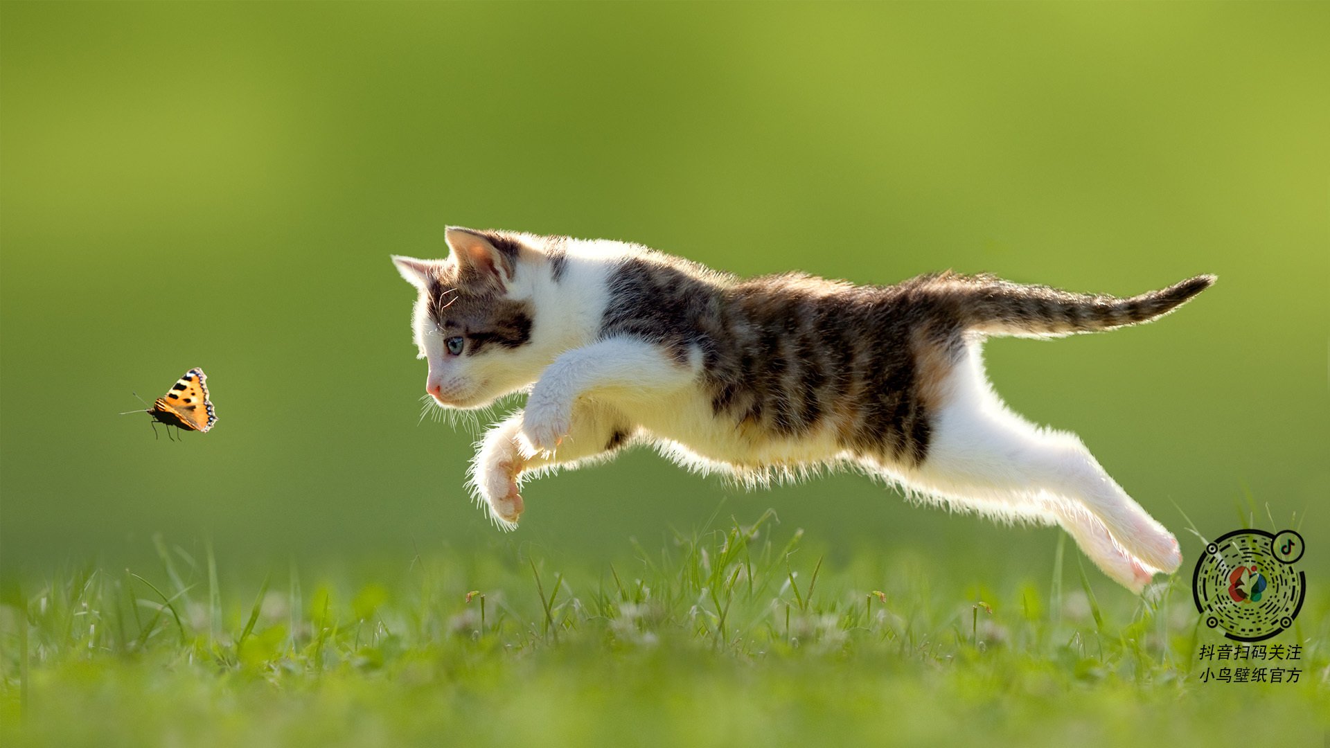 双城记，当瑞士决胜局撕裂亚特兰大，凯恩在伊比利亚风暴眼中加冕