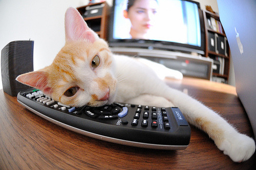 乔治一剑封喉，大场面先生降临，雷霆末节逆袭绝杀北京队