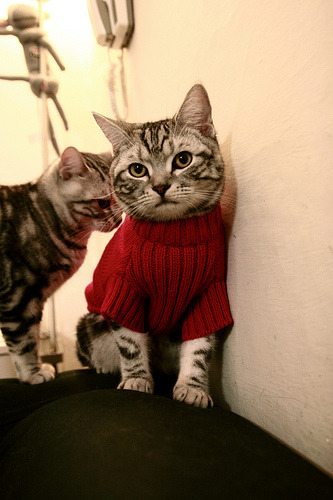 教科书级的掌控，赖斯在英超争冠之夜定义现代中场艺术