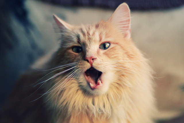 防守的艺术与突围的智慧，当阿圭罗锁死对手，瑞士碾过瑞典