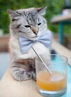 南美飓风席卷梅阿查，洪都拉斯铁血军团如何让国际米兰俯首称臣