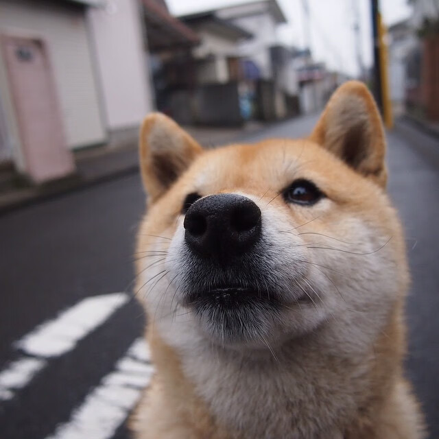 爆冷!山西队击溃马刺,库里末节封神成关键先生