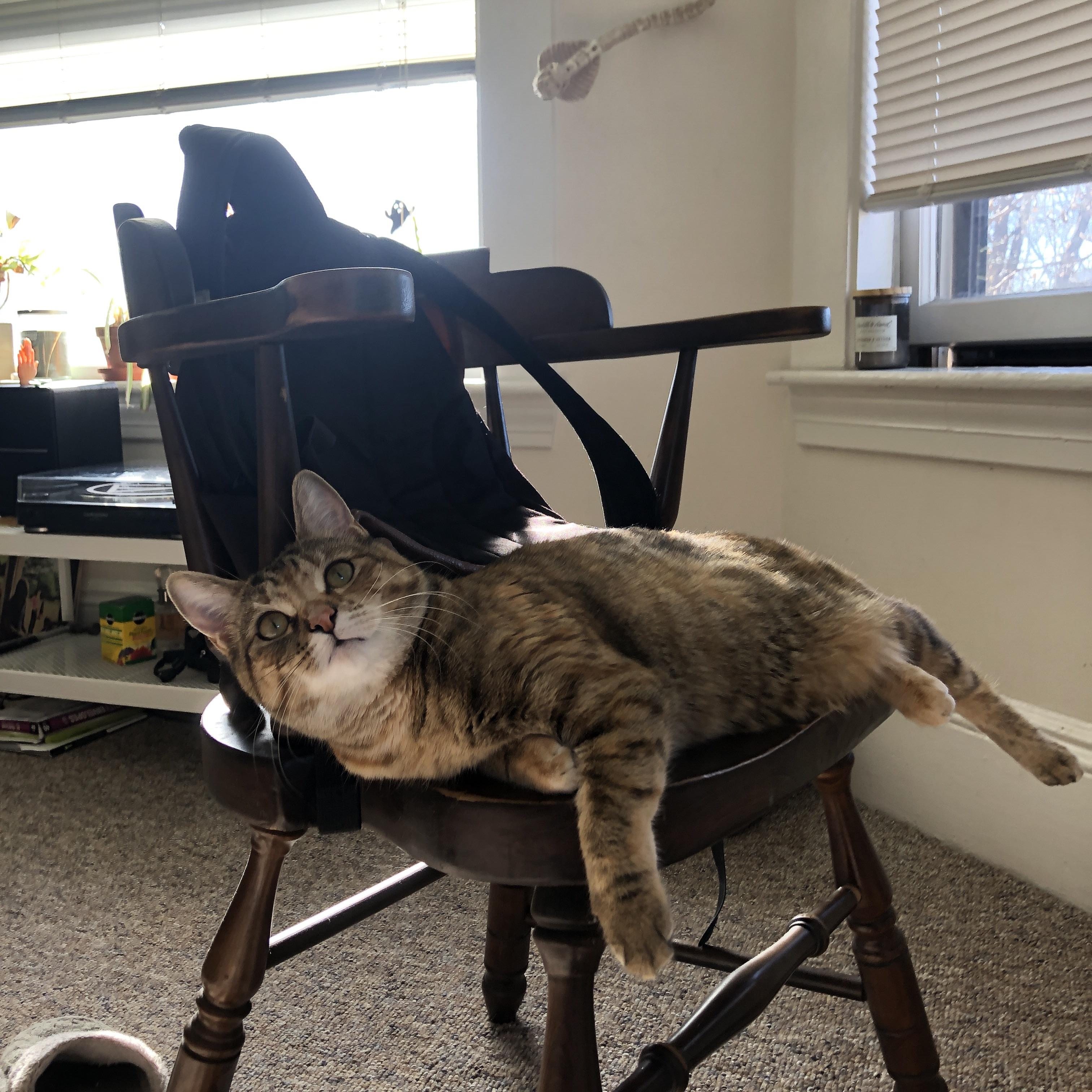 当圣西罗的铁幕笼罩雷恩,基米希的跨界助攻正撕裂NBA季后赛