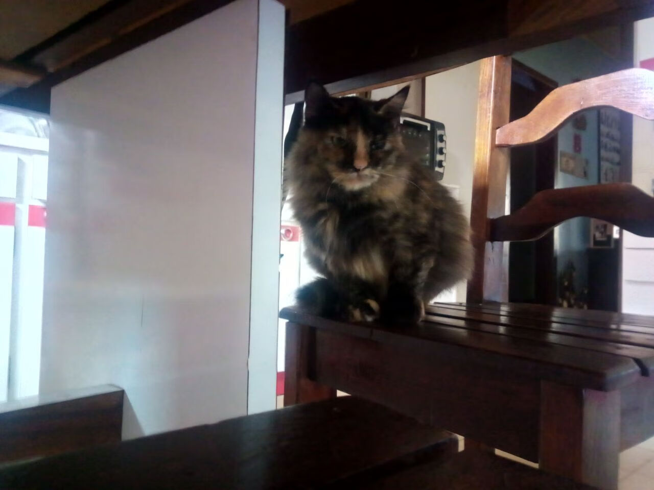 领袖与谋局，恩比德的稳定火力与热火的节奏艺术