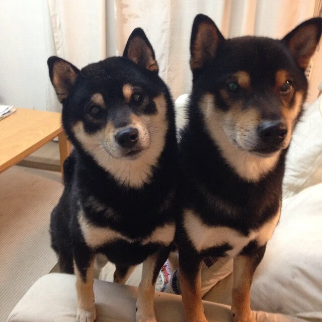 冰与火之歌，吉林队鏖战克骑士，爱德华兹一球定江山