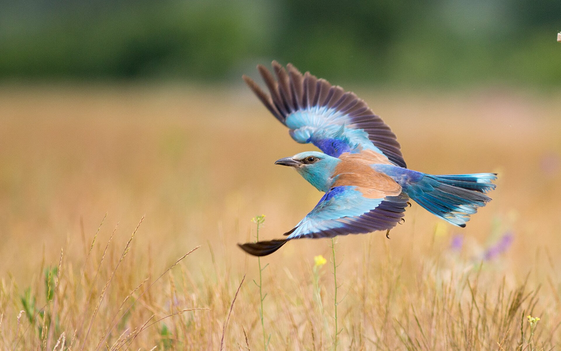 马刺vs山西,塔图姆独揽焦点,国际友谊赛燃爆全场