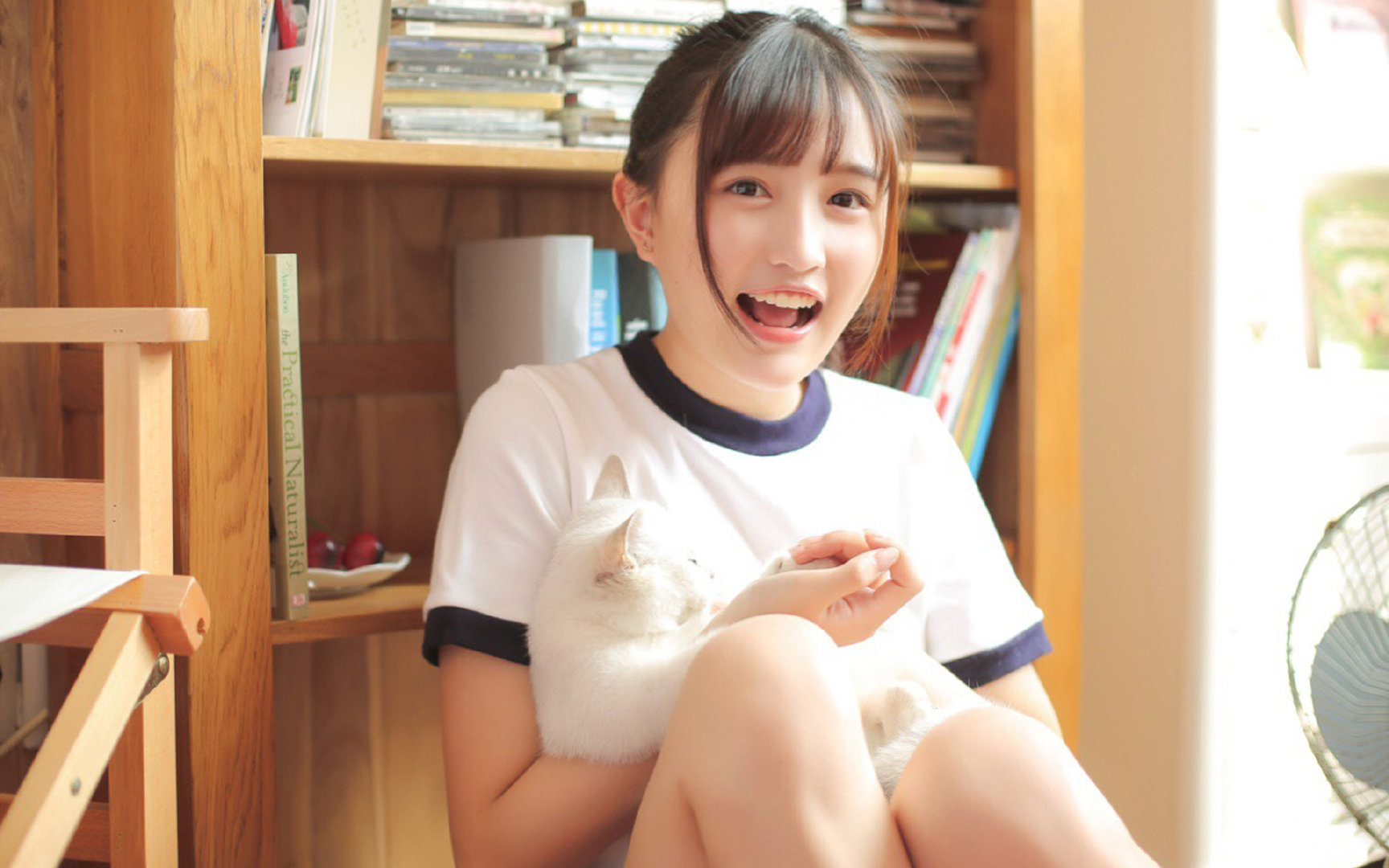 钢铁节拍,哈兰德、国际米兰与足球世界的压制美学